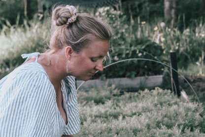 woman harvesting winter sown dill