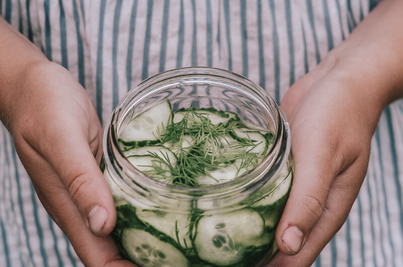 Swedish quick pickled dill cucumbers